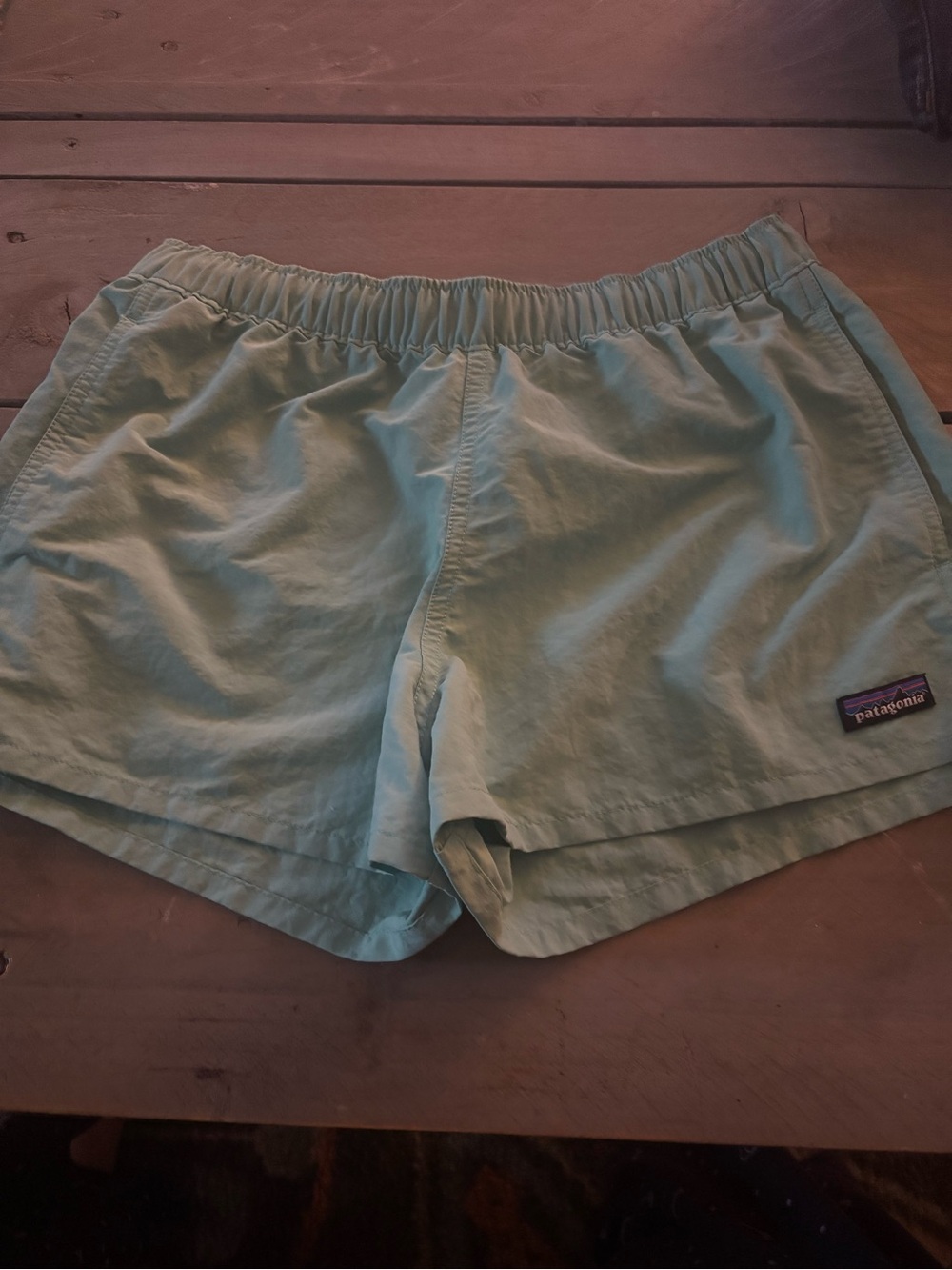 Patagonia Women's Mint Green Athletic Shorts